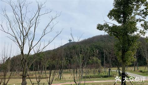 南京山|南京十大名山排行榜 南京著名的山峰排行 南京爬山去哪里。